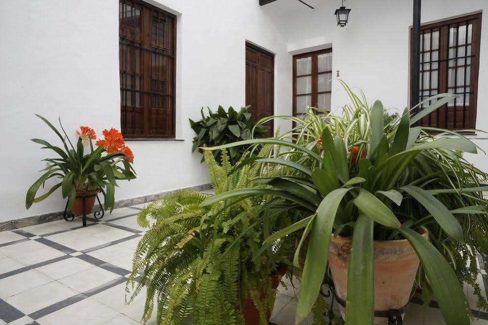 Fuentepiedra Casa Rural Categoria Superior Almodóvar del Río Exteriör bild